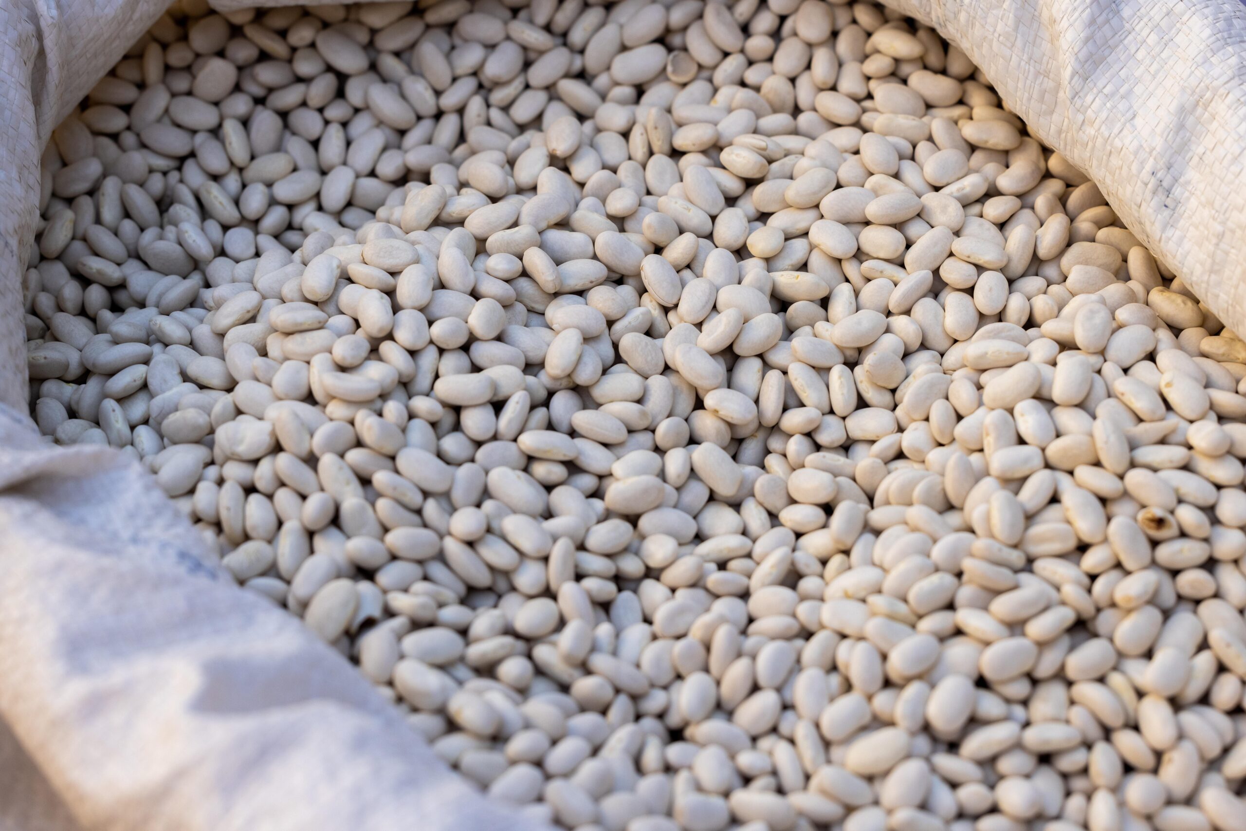 engin_akyurt-beans-6757515