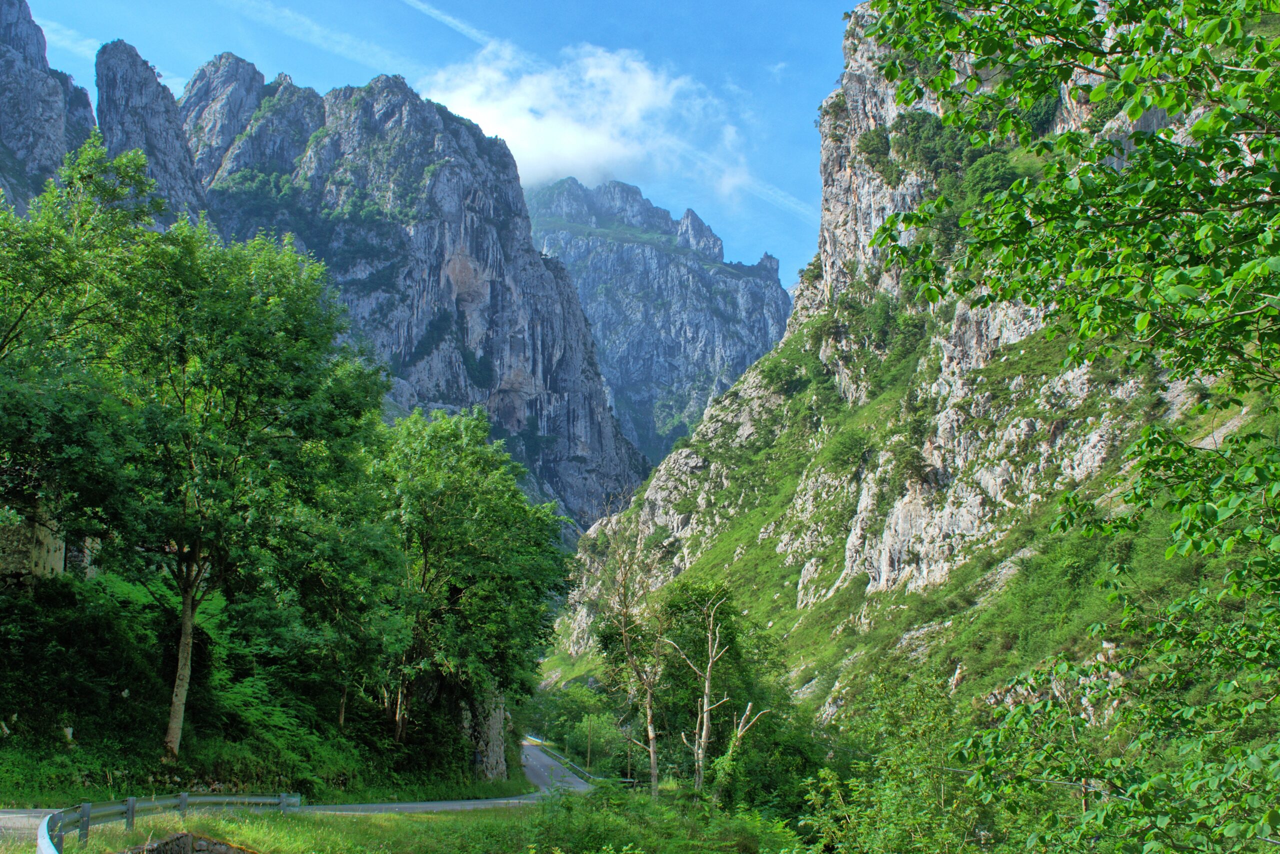 urti2009-landscape-3475535